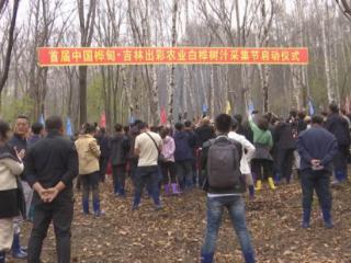 民营经济发展一线观察·民企先锋｜吉林出彩农业产品开发有限公司：走出一条绿色、可持续的高质量发展之路
