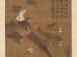 《中华五色色卡》上线！网友：这才是刻进骨子里的文化自信
