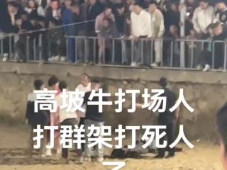 贵州一斗牛比赛现场有人受伤？多方回应