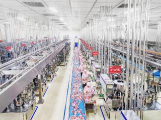 豫见品牌力量①丨河南提升“新食力”，国人厨房添滋味