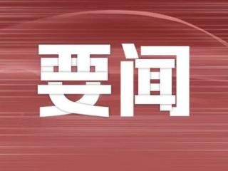 极氪或“回归一个吉利”