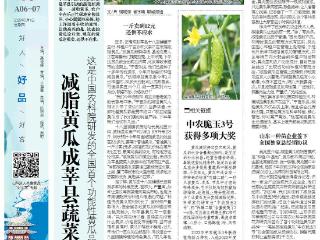 好山东|供不应求！减脂黄瓜成莘县蔬菜“新顶流”