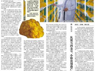 好山东|5G加持智慧农业，金耳成莘县小镇致富“金疙瘩”