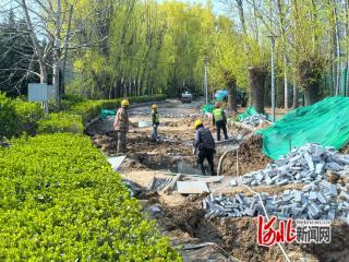 秦皇岛经开区持续推进海绵城市示范项目建设