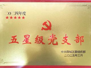 薛城区中医院综合病区党支部获评2024年度“五星级党支部”