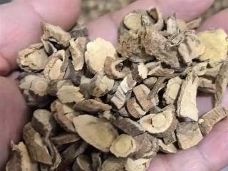 男子煎服15克山豆根中毒 医生：不能盲目相信偏方