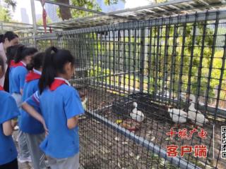 十堰多所学校花了不少“小心思”，守护孩子“心晴”