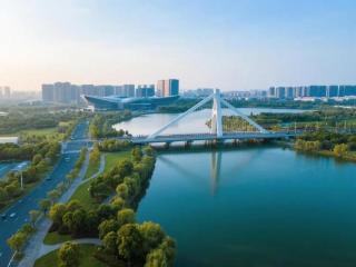 年报观察 | 东湖高新的产业角色