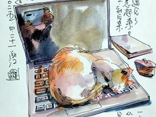 我和我家的“毛孩子”丨田亚非：相遇
