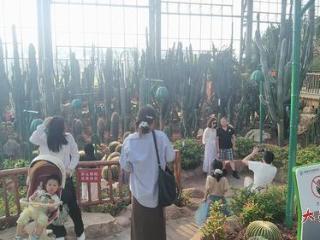 南昌珍奇植物园有啥魅力？