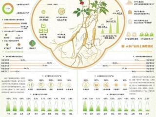 人参产业链不断延伸