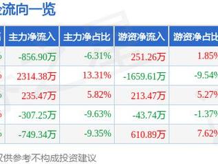 金宏气体（688106）5月7日主力资金净卖出856.90万元