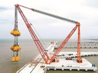 2024年度厦门市科学技术进步奖揭晓 59项成果获奖