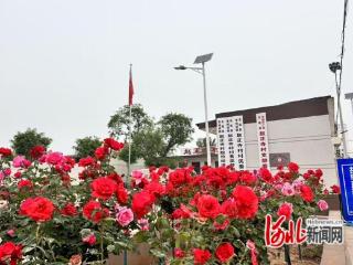 无极县赵正寺村：党建引领聚合力 村企共建换新颜