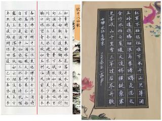 临沂第八中学八年级举办语文“五一”实践作品展