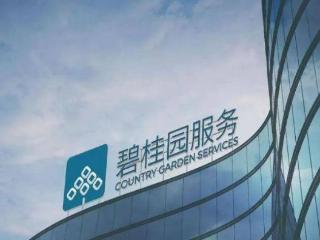 手握超百亿现金！碧桂园服务借10亿，纾困大股东！