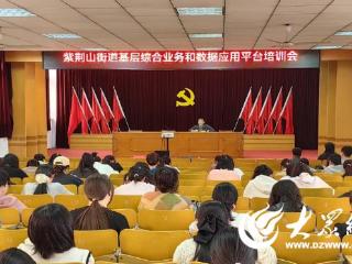紫荆山街道举办基层综合业务和数据应用平台专题培训会