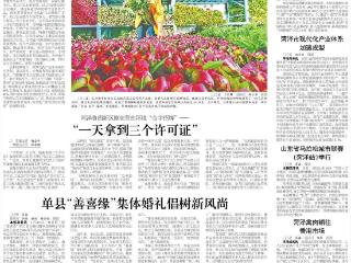 从单一观赏跃迁到全链增值 双花竞放，“花样菏泽”更靓丽
