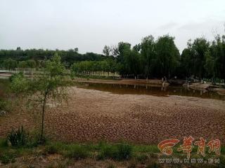 泥沙淤积、荷景难寻 潏河湿地公园人工湖遭遇“清淤难”
