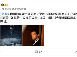 胡歌陈道明要联手？这部剧没拍就已经火了，对标《大明王朝1566》