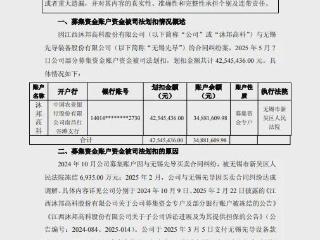 冻结股权、划扣募资账户，俩TOPCon新军被光伏“卖铲人”急追债