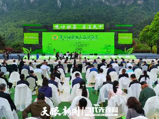 2025第六届茶业大会在江口开幕