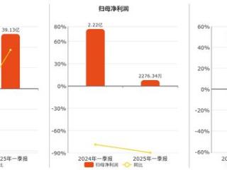 华虹公司(688347.SH)：2025年一季报净利润为2276.34万元、同比较去年同期下降89.73%