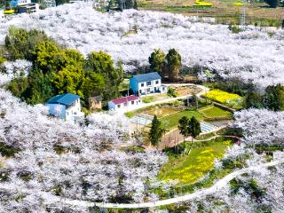 渝见好“村”光 | 大雅之塘：梁平区铁门乡长塘村