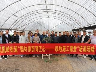 沂河新区凤凰岭街道：前兴旺火棘培训解锁“颜值变现”新密码