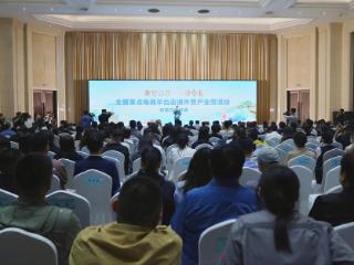 出口转内销，临沂这场对接活动助外贸企业破局转型