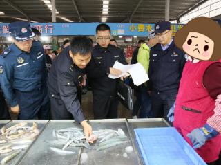 牟平区多部门联动执法，筑牢伏季休渔管控防线