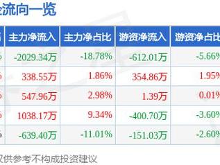 日科化学（300214）5月9日主力资金净卖出2029.34万元