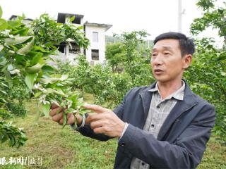 “张铁坑”创业记