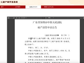 深圳一女子月收入4700元负债高达2544万元，法院：尚处于个人破产申请审查公告阶段