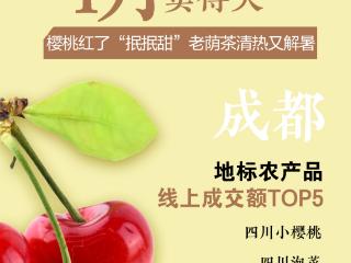 成渝农产品消费趋势报告 | 荣昌卤鹅，这三地闻着味儿就来了！