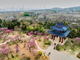 情怀9：徐刚向加代求救