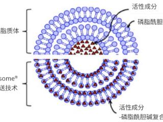 当PM10突破 2900μg/m³ GRNAVER吉清肺如何用一粒槐米打赢肺部保卫战？