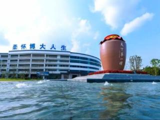 “蓝色风暴”升级来袭，洋河破局行业新周期