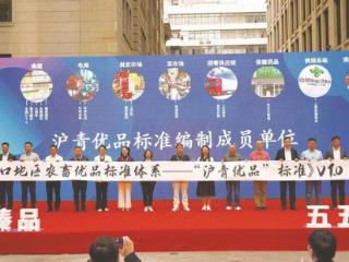 黄浦江畔，与“青字号”的绿色之约