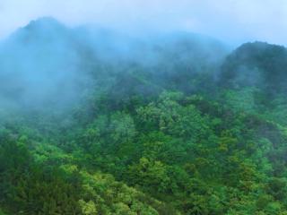济南南部山区：雨后青山翠，云雾轻纱漫