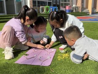东营市东营区牛庄镇中心幼儿园：在大自然中探索数的分解