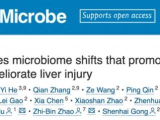 肠道菌群重塑护肝效果被证实 LAIFE「乐轻肝」益生菌矩阵守护肝脏健康