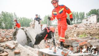 安徽在淮南举行地震救援跨区域实战拉动演练（组图）