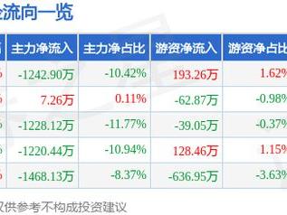 继峰股份（603997）5月9日主力资金净卖出1242.90万元