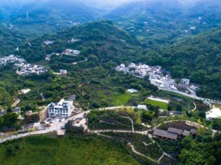 “碚”有文艺范儿丨素心村：文化赋能产业升级 艺术乡建焕发新生