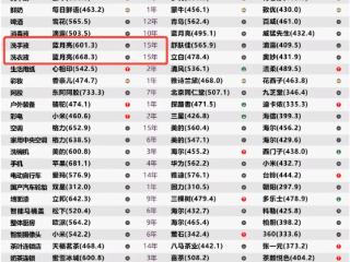 2025年中国品牌力指数发布！蓝月亮连续15年领跑！