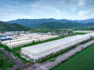 产销总量位居中国首位！铜仁抹茶实力出圈