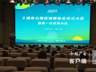 十堰市心理咨询师协会正式成立