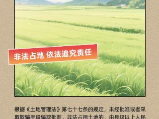 图说耕保｜非法占地建设应承担哪些法律责任？