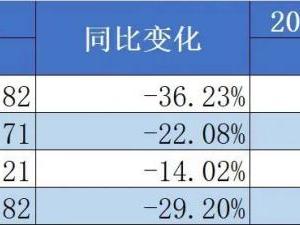 光伏行业重写竞争规则，这家公司如何逆周期前行？